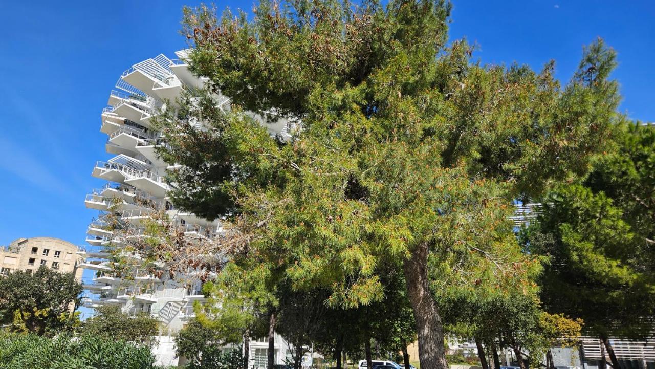 Arbre Blanc, Une Folie Montpellieraine 외부 사진